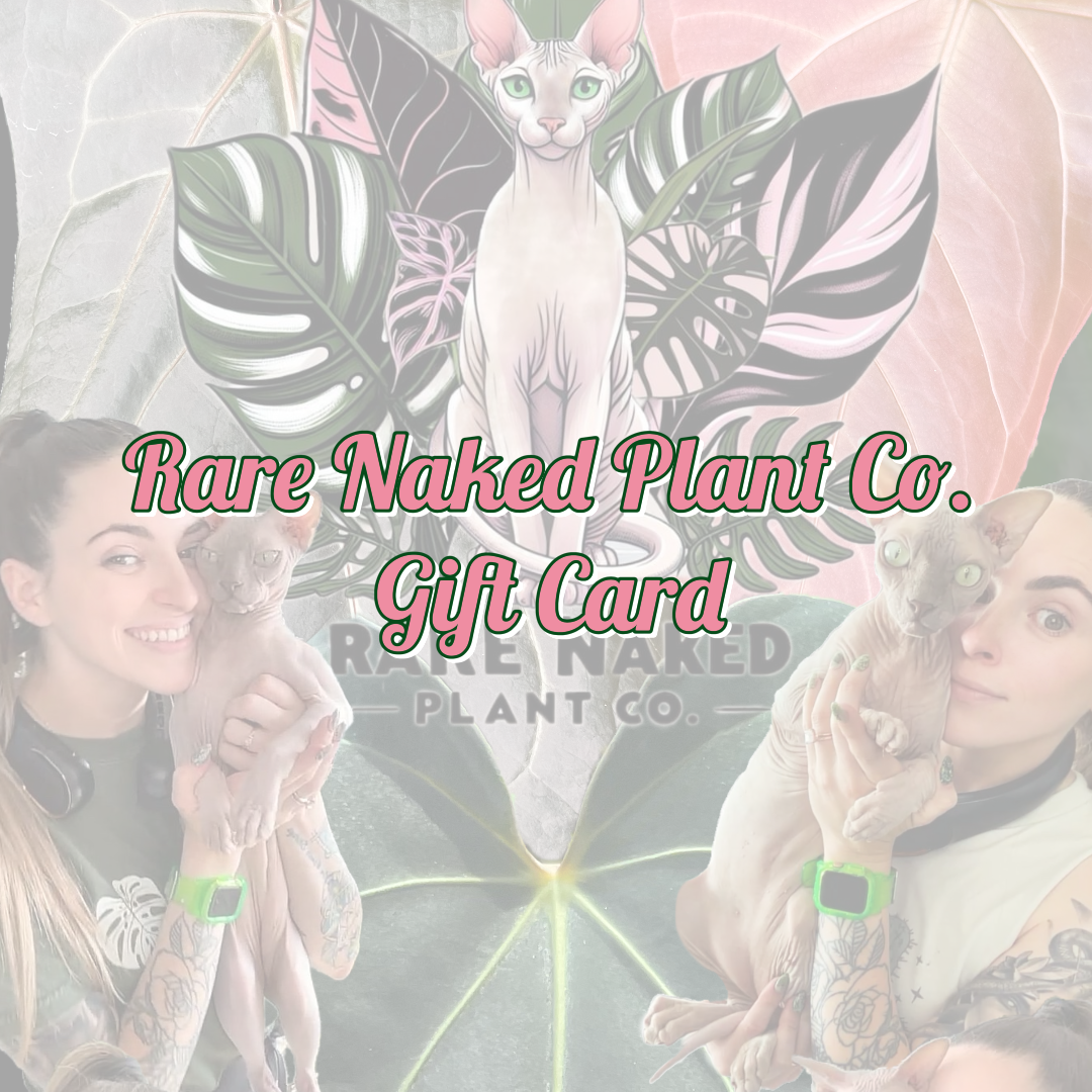 rare society gift card One4all Giving Good Gratitude from $25 to $500 + Earn Rewards Our gift cards have no additional processing fees. Rare Society - Visit Santa