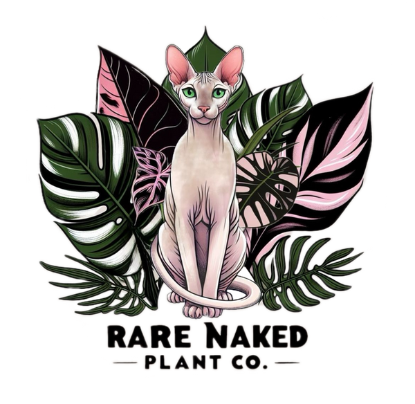 Rare Naked Plant Co